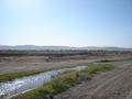 #4: 200m west of the confluence looking towards the riverbed