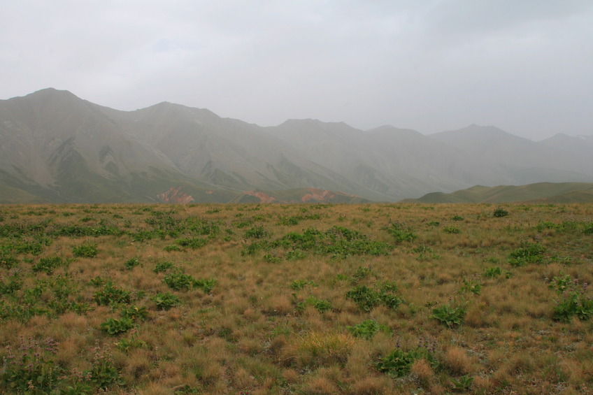 View South: Mountain range of Dzhamantoo