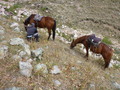 #11: Leaving the horses before the climb starts