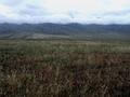 #3: South view
