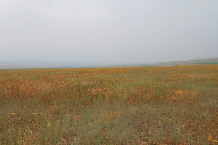 View West: Villages Dzhangi-Aryk and Karachiy