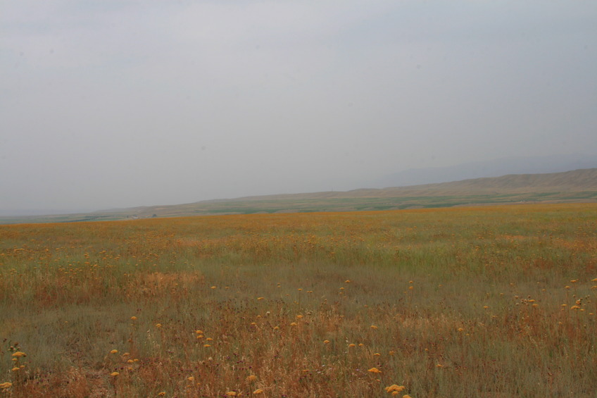 View North-Northwest direction Kyzart