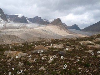 #1: Mountain "fortress" with confluence