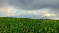 #3: South-west view
