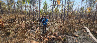 #3: The short, but long hot walk to the confluence, through tall grass and burnt out areas.