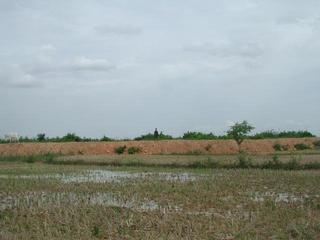 #1: Looking South from the Confluence