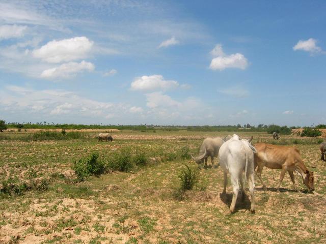 View to the East