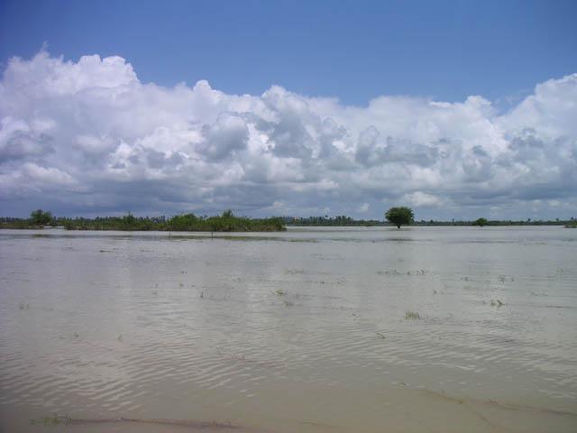 North