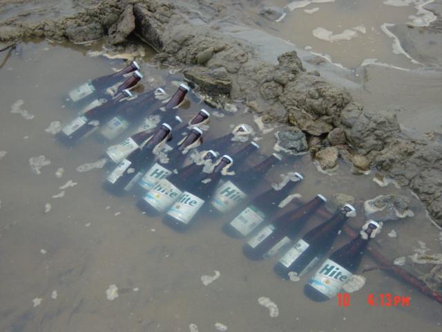 18 bottles of beer in a creek...