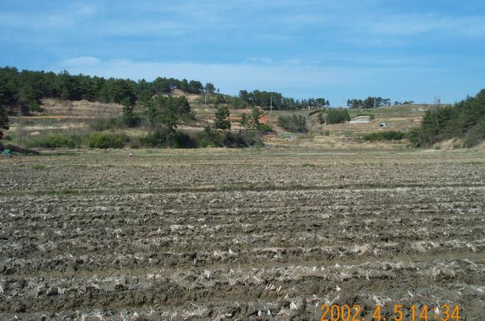 Looking north; there is a road that we used to come to this area on the top of this hill, but is not very visible.