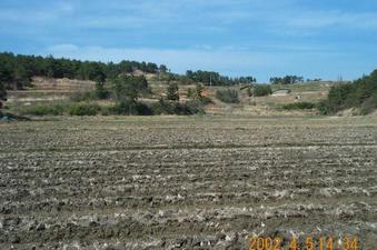 #1: Looking north; there is a road that we used to come to this area on the top of this hill, but is not very visible.