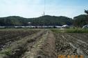 #3: Looking west; you can see several barns at the end of the rice field.