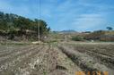 #5: Looking east; the aforementioned cluster of houses is mostly hidden from the view by the trees on the left.