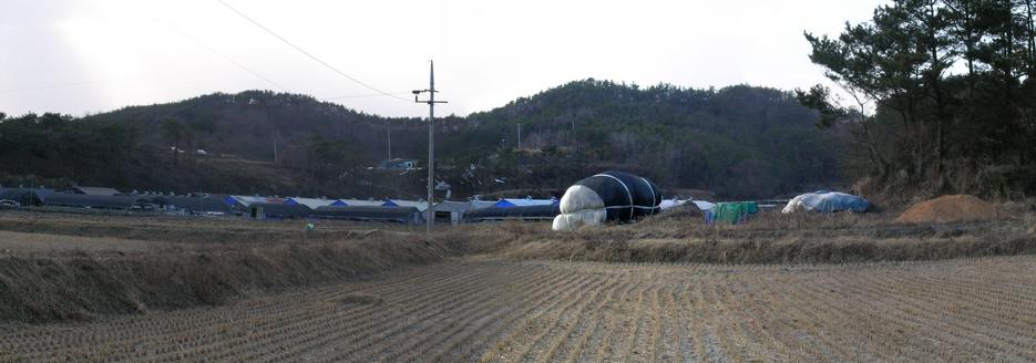 Western view with farm buildings in the background