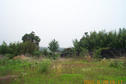 #5: Looking east; there was a traditionally-built house nearby, which might be the home of the landowner of the place I was standing on.