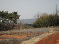 #3: East