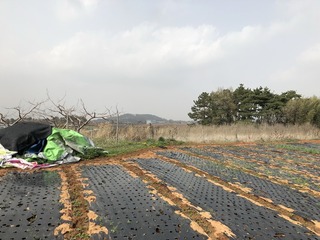 #1: Looking north, there was a field of covered crops nearby with a hill and a factory visible in the distance.