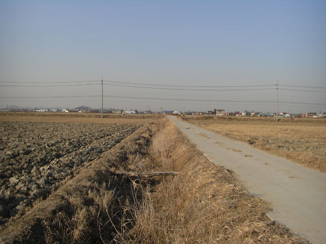 Looking north from the confluence