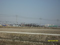 #4: Northeast -Fleeing flock of birds around the fields