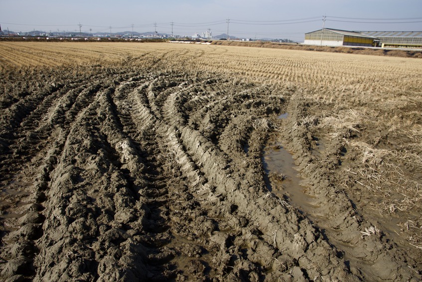 The confluence point lies in a field, in a semi-rural area next to a paved road