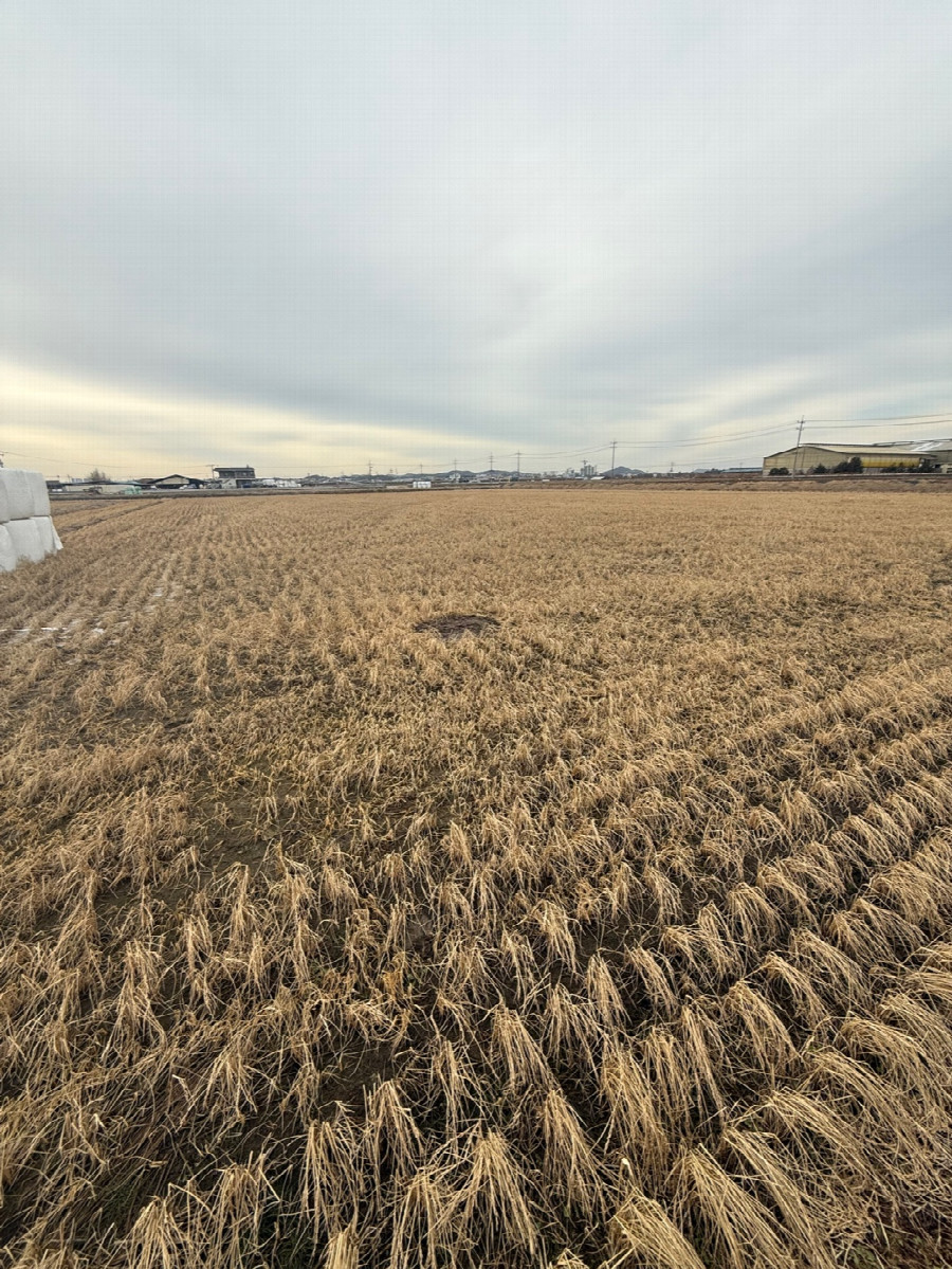 General area. Empty patch marking the confluence visible.