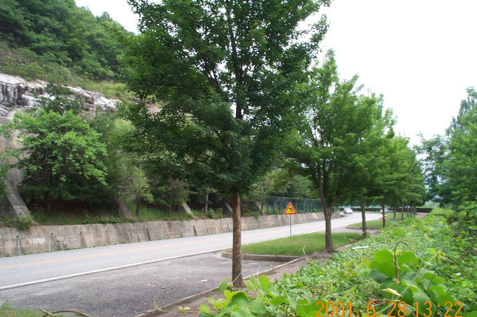 Looking south-east; this road takes you to the boat ferry.