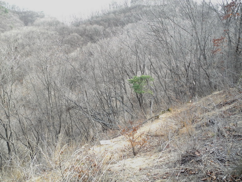 Small marker at center is the exact point - about 20 meters away