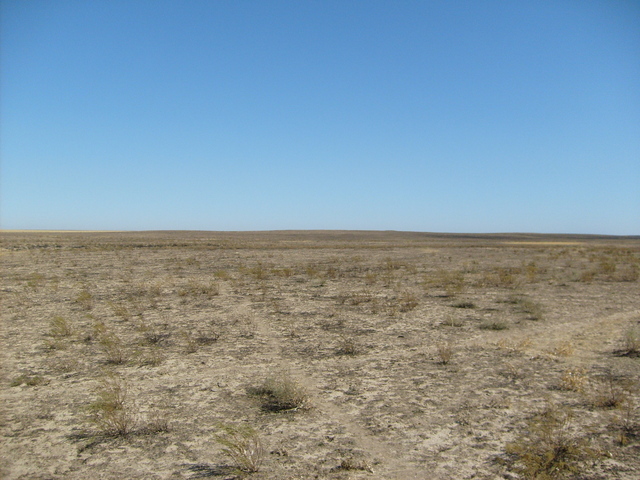 From the confluence looking north