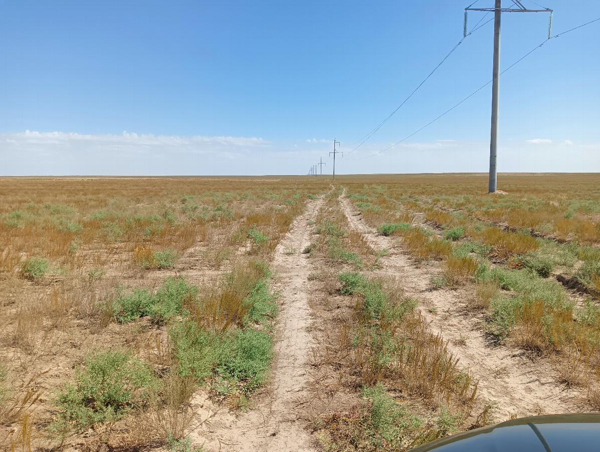 Dirt road along powerline