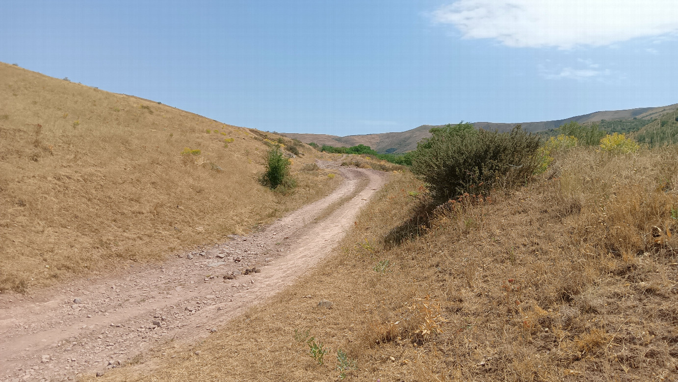 Road near CP