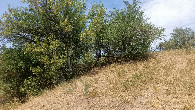 #2: North view