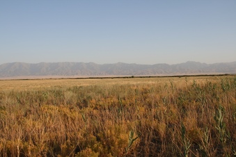 #1: View South: Boarder to Kyrgyzstan at top of Kirgiz Range