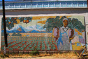 #10: Mosaic: in honor to the farming women