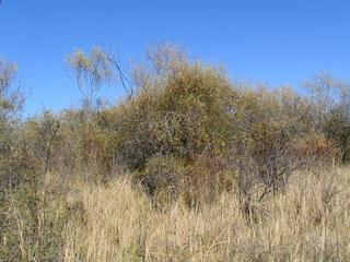 #1: Confluence point. View to the East