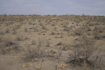 #1: View to the confluence