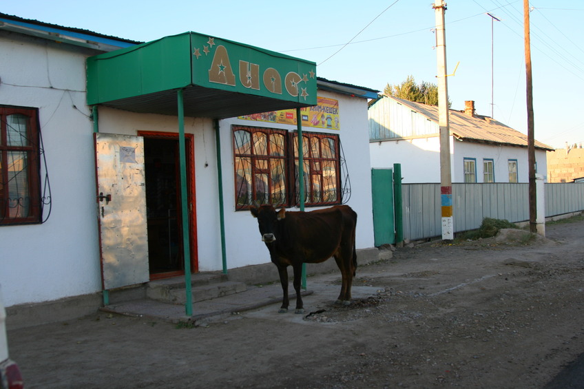 Shopping at the "supermarket" at Moyynqum village