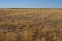 #3: View South