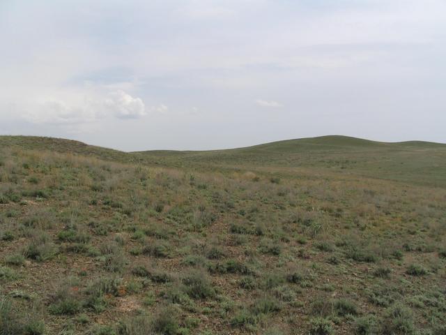 South