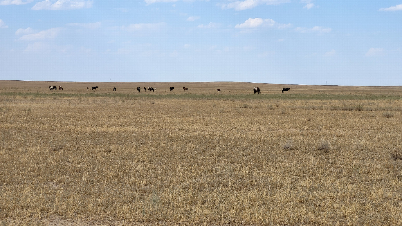 местный пейзаж / Local landscape