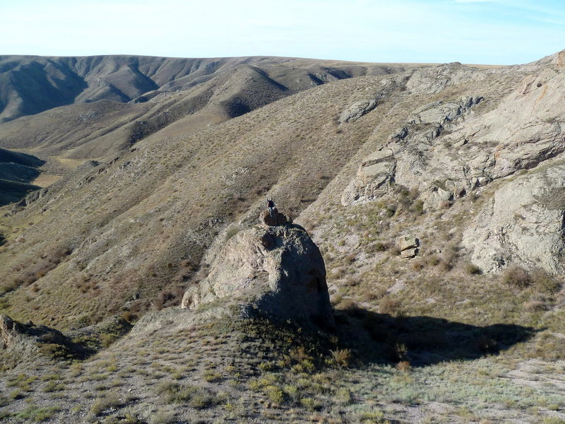 Местный пейзаж/Local landscape