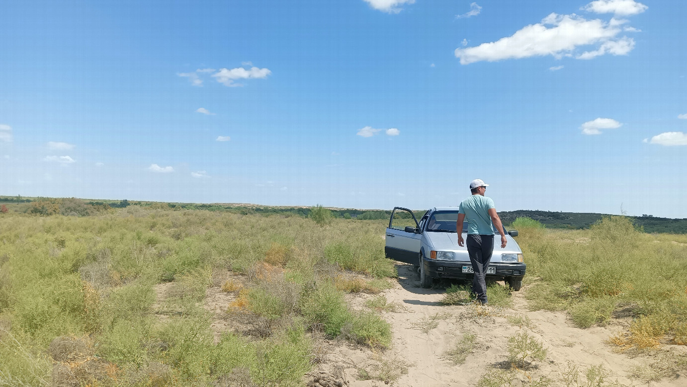 Searching for horses
