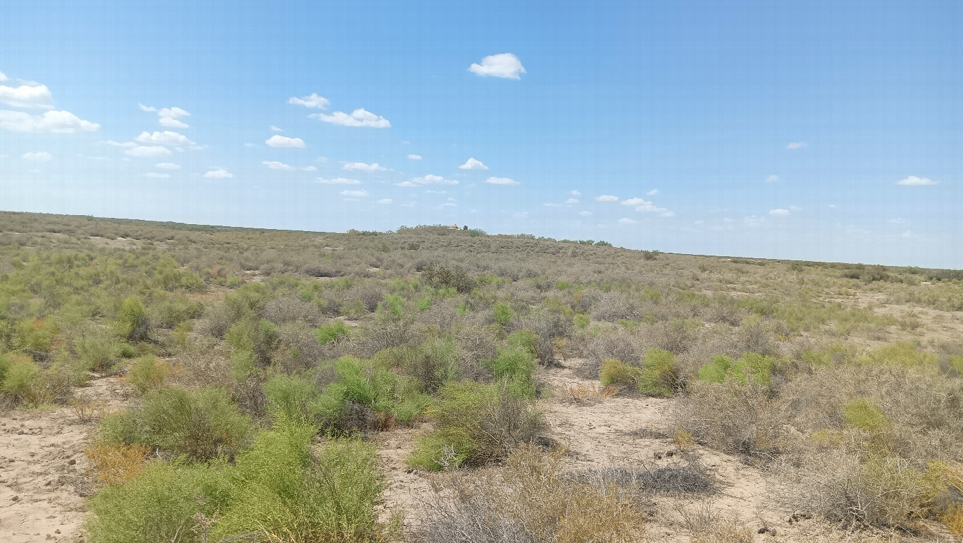 Building at a distance