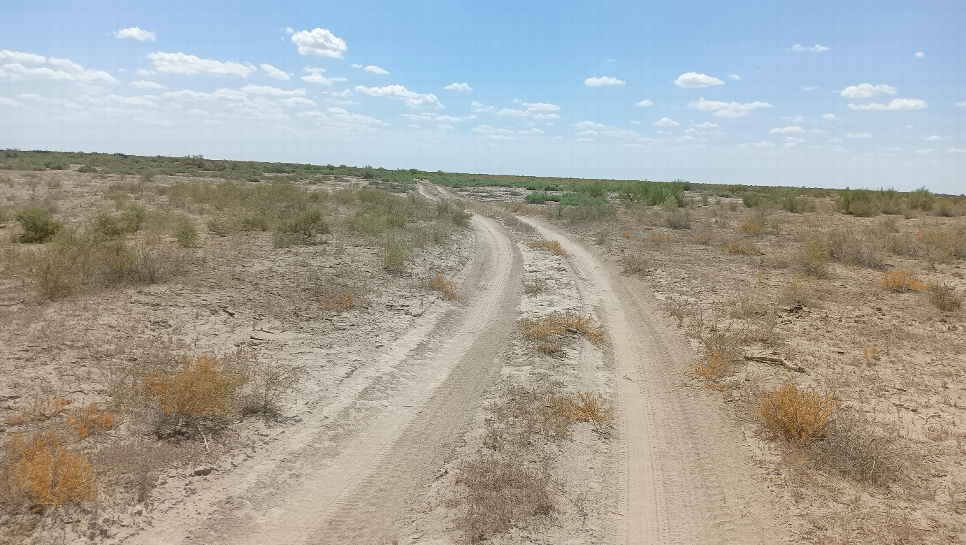 Narrow road