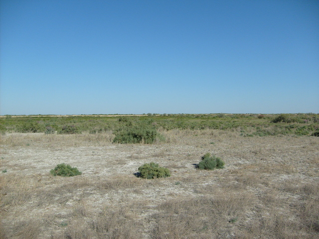 The confluence distance 100m