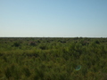 #3: From the confluence looking west