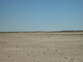 #2: From the confluence looking north