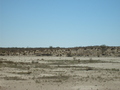 #3: From the confluence looking west