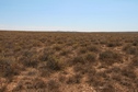 #3: View South: Zhambyl Mountains with highest point at Kyzylbelen, 972 m