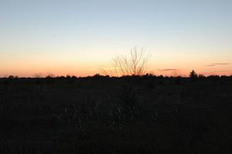 #1: west