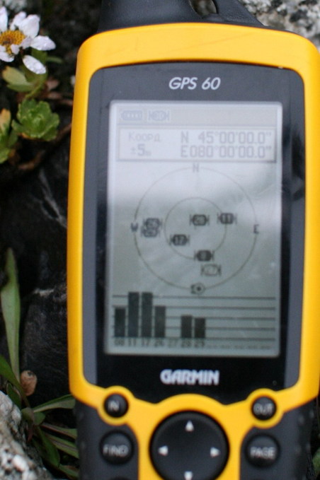 GPS reading